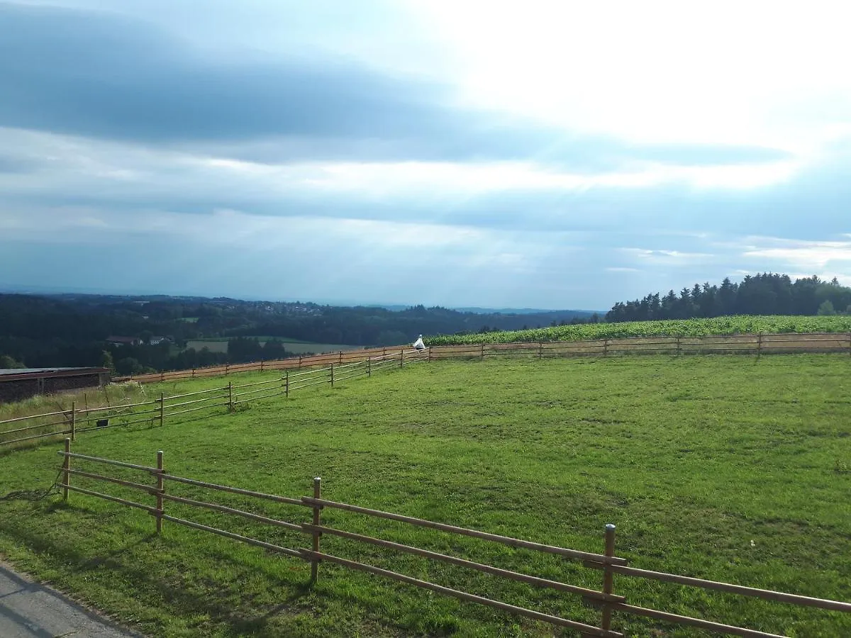 Daire Ferienwohnung Am Dachsberg, Bayerischer Wald Haselbach