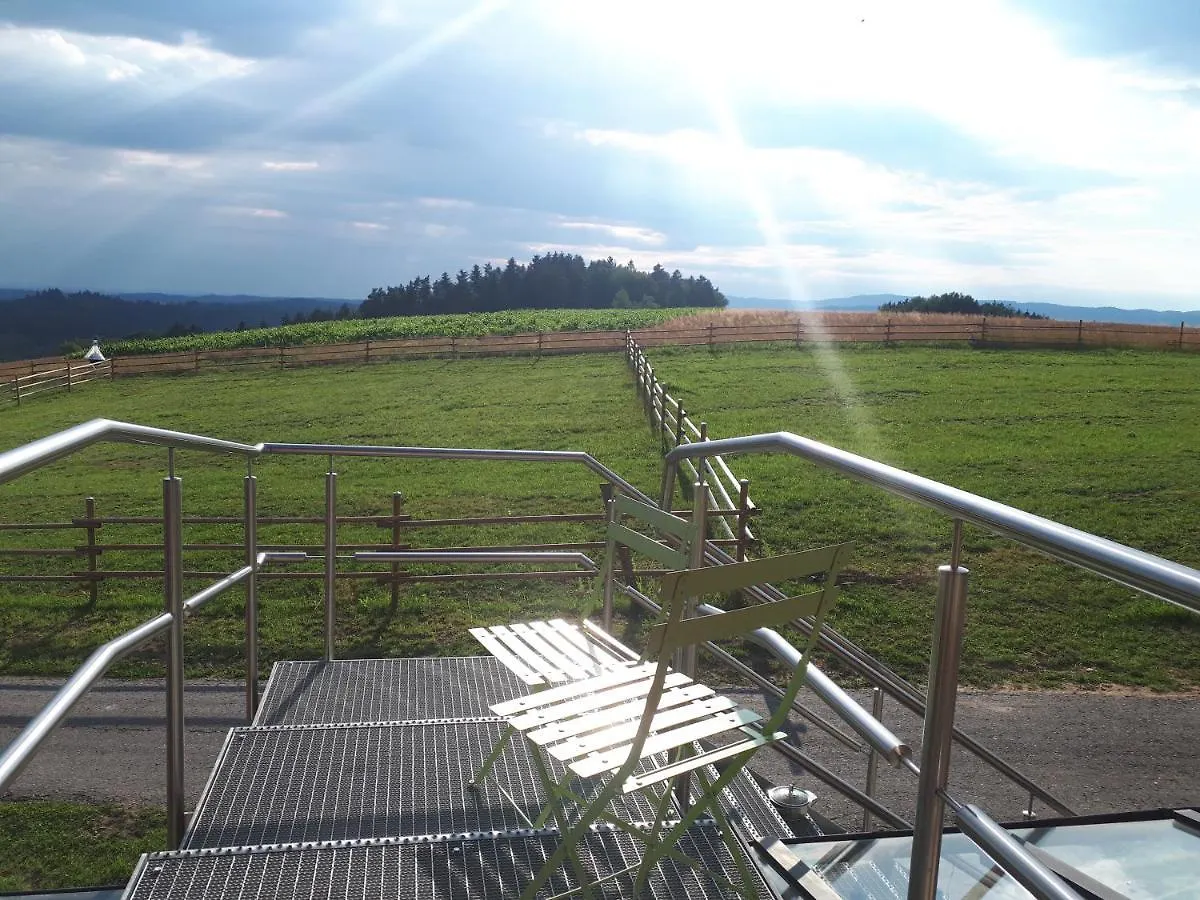 Daire Ferienwohnung Am Dachsberg, Bayerischer Wald Haselbach